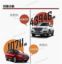 網通社汽車佳木斯安信 專業銷售服務，驅動龍江出行新體驗